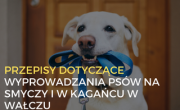  Przepisy dotyczące wyprowadzania psów na smyczy i w kagańcu w Wałczu - baner